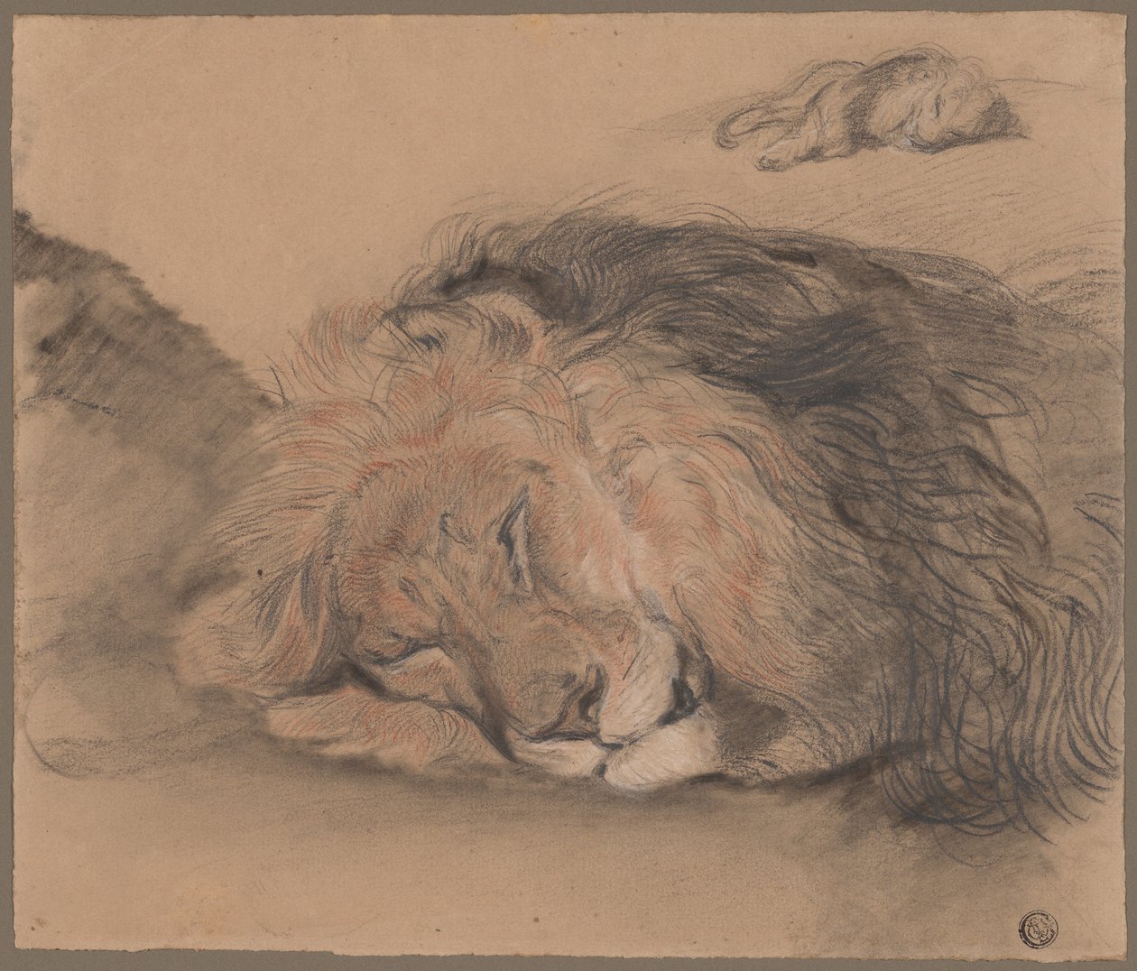 Tête de lion et esquisse d