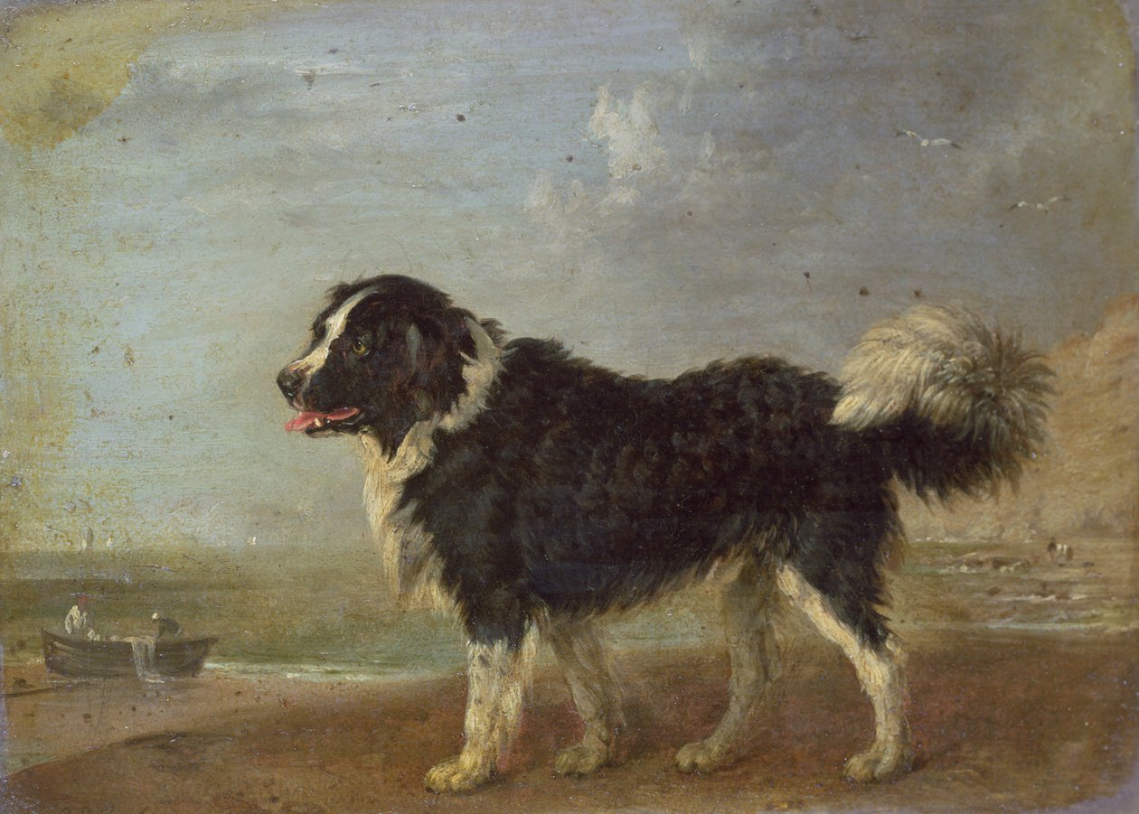 Image inconnue - Edmund Bristow