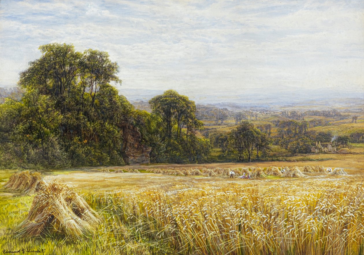 Temps de récolte - Edmund George Warren