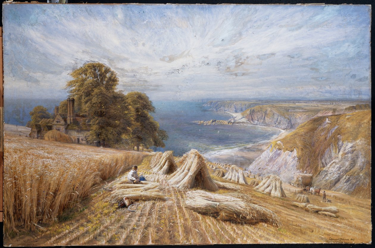 Moisson sur la côte sud, 1869 - Edmund George Warren