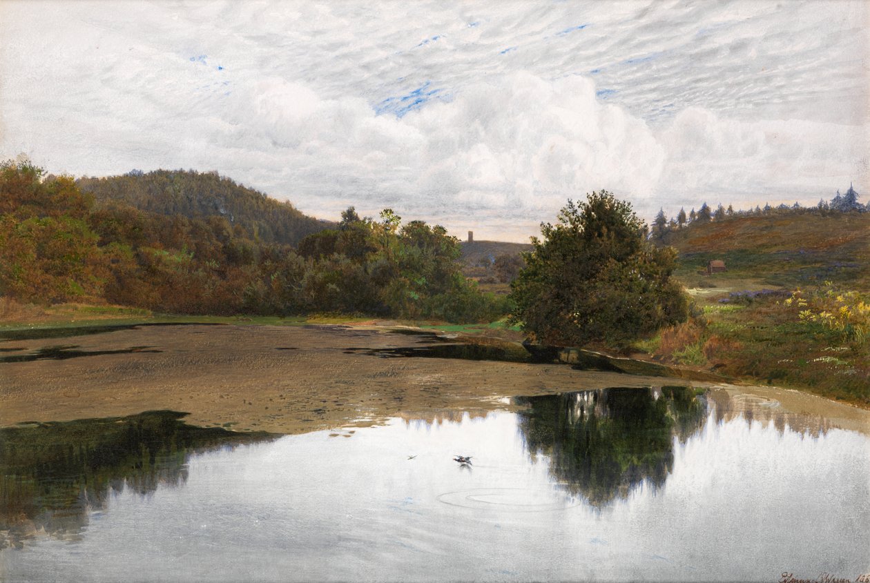Leith Hill, depuis Broadmoor, Surrey - Edmund George Warren
