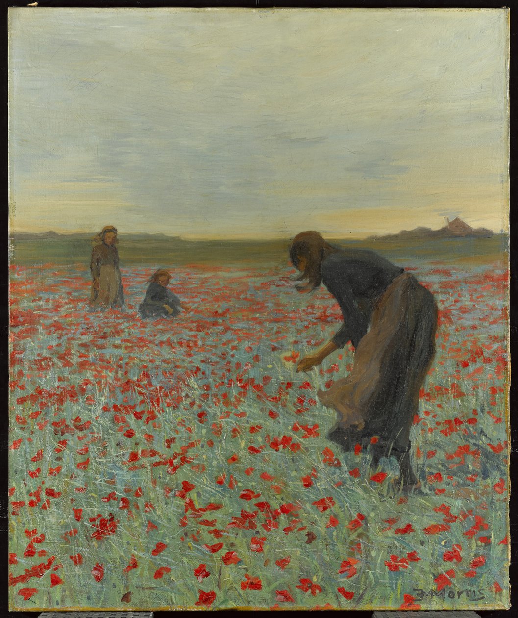 Filles dans un champ de coquelicots, vers 1896 - Edmund Montague Morris
