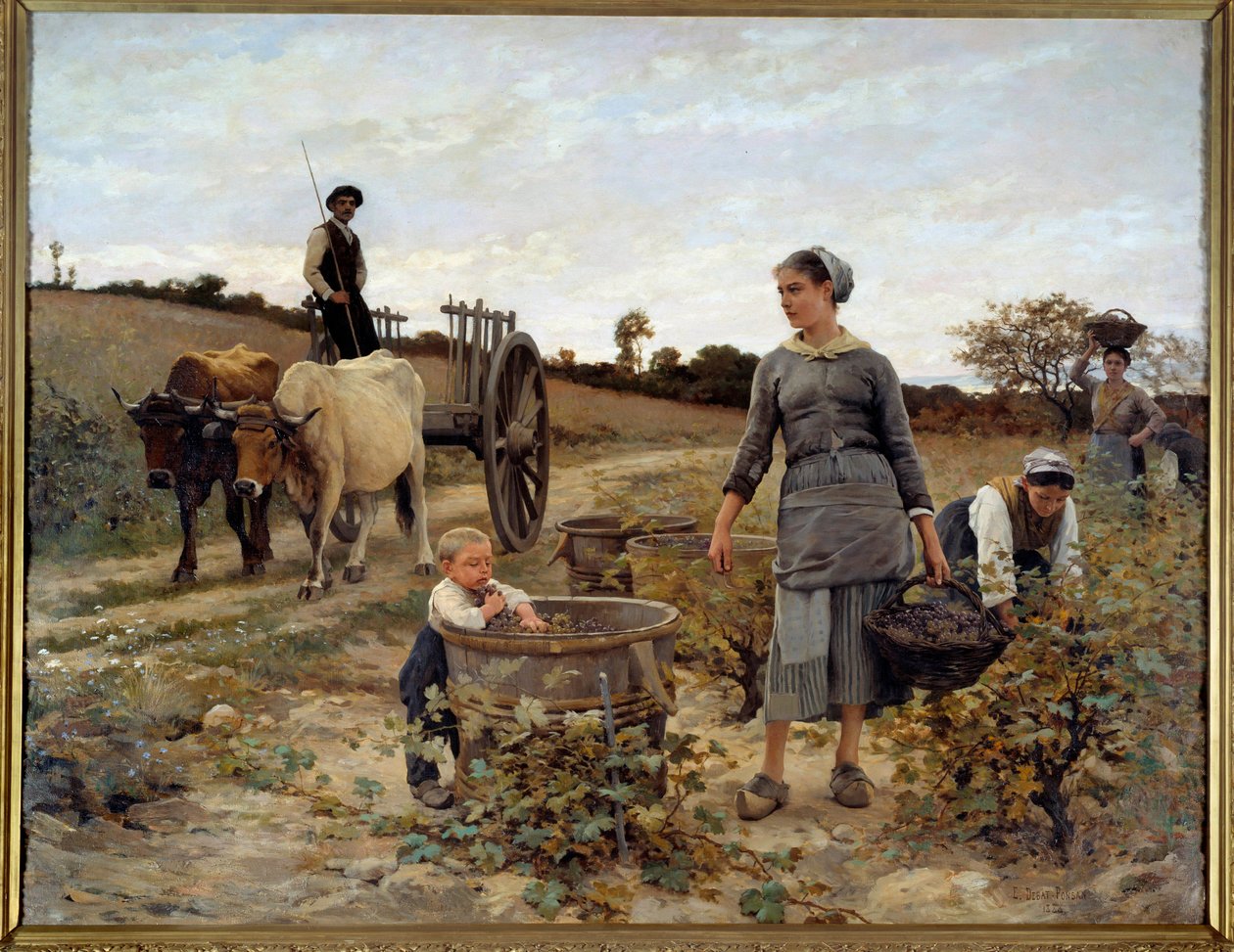 Coin de vigne en Languedoc. Peinture d