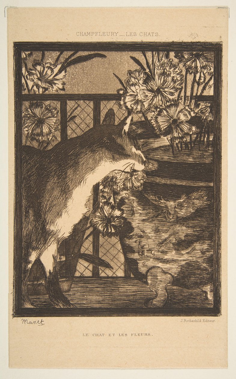 Chat et fleurs. Illustration pour Les Chats de Champfleury, 1869 - Édouard Manet