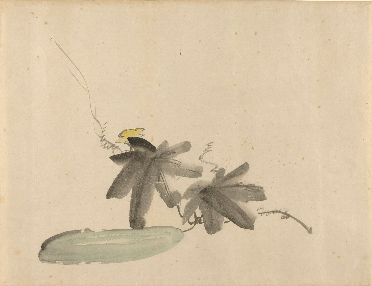 Concombre avec ses feuilles - Édouard Manet