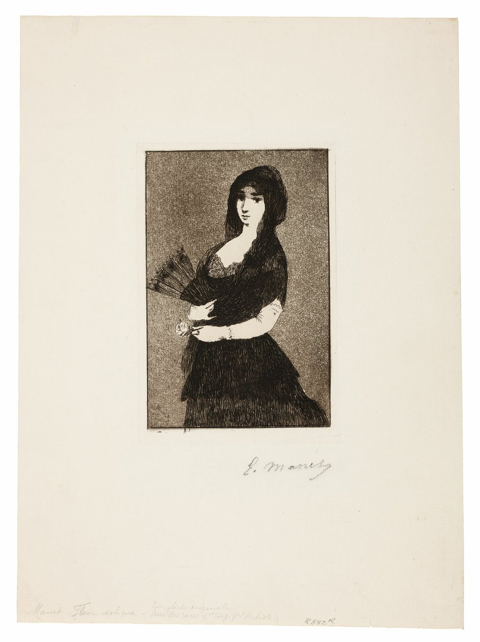 Fleur exotique (Femme en mantille) - Édouard Manet