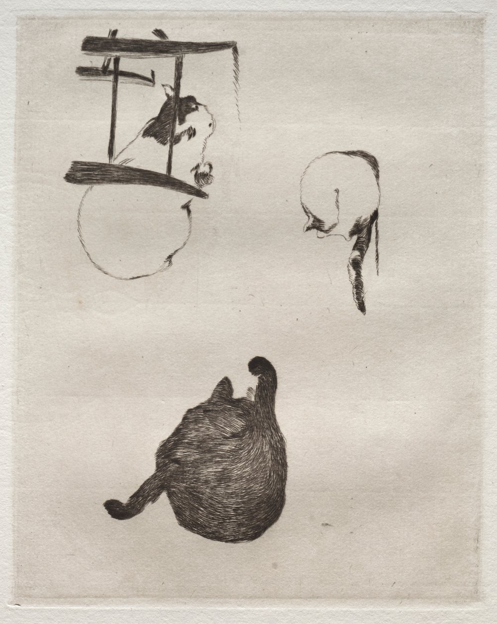 Les Chats, 1868-1869 - Édouard Manet