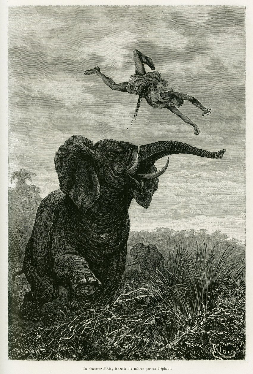 Le chasseur d