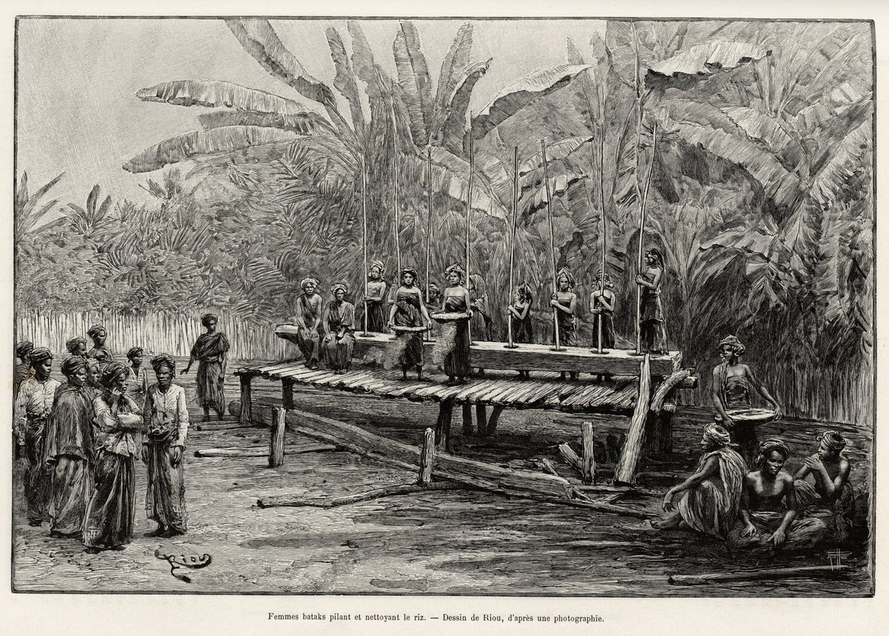 Femmes Batak, groupe ethnique du nord de Sumatra, pilant et nettoyant le riz. Gravure de Riou pour illustrer l