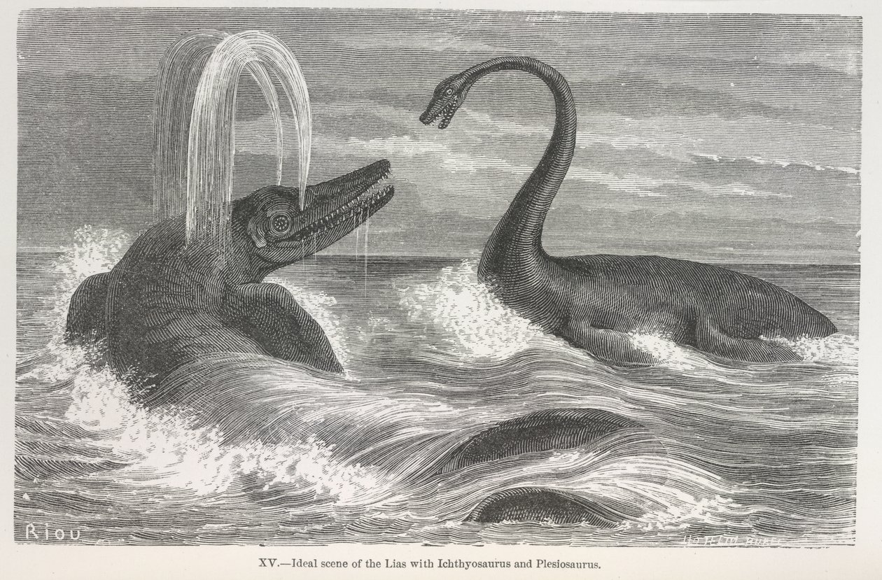 Scène idéale du lias avec Ichthyosaurus et Plesiosaurus - Edouard Riou