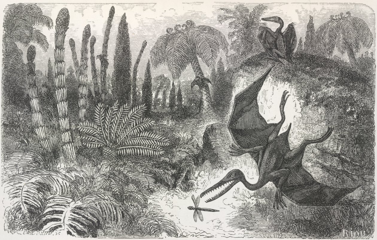 Paysage de la période liasique. Illustration représentant un ptérodactyle - Edouard Riou