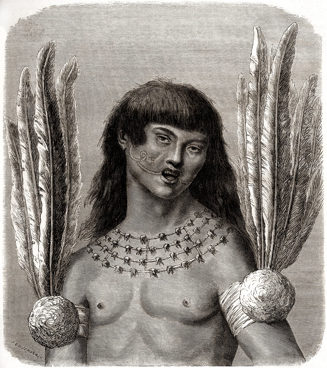 Portrait d