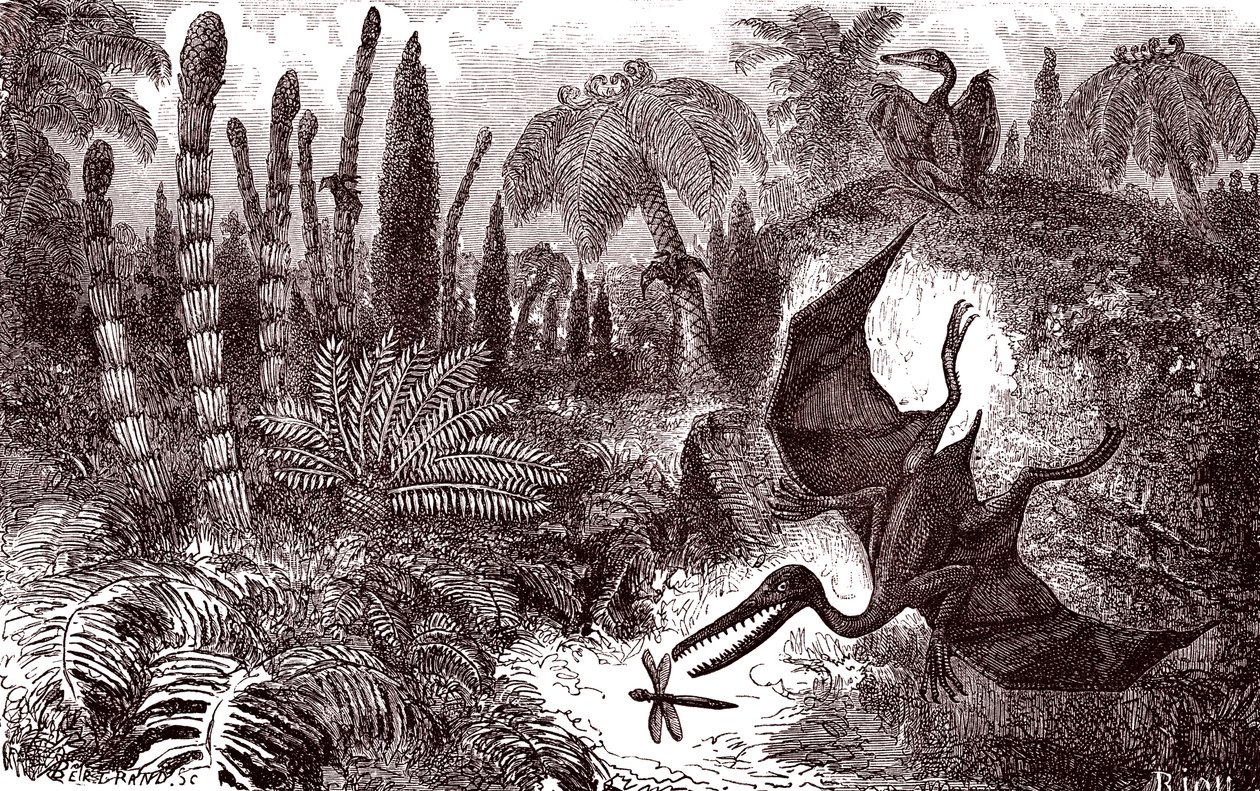 La Terre à l