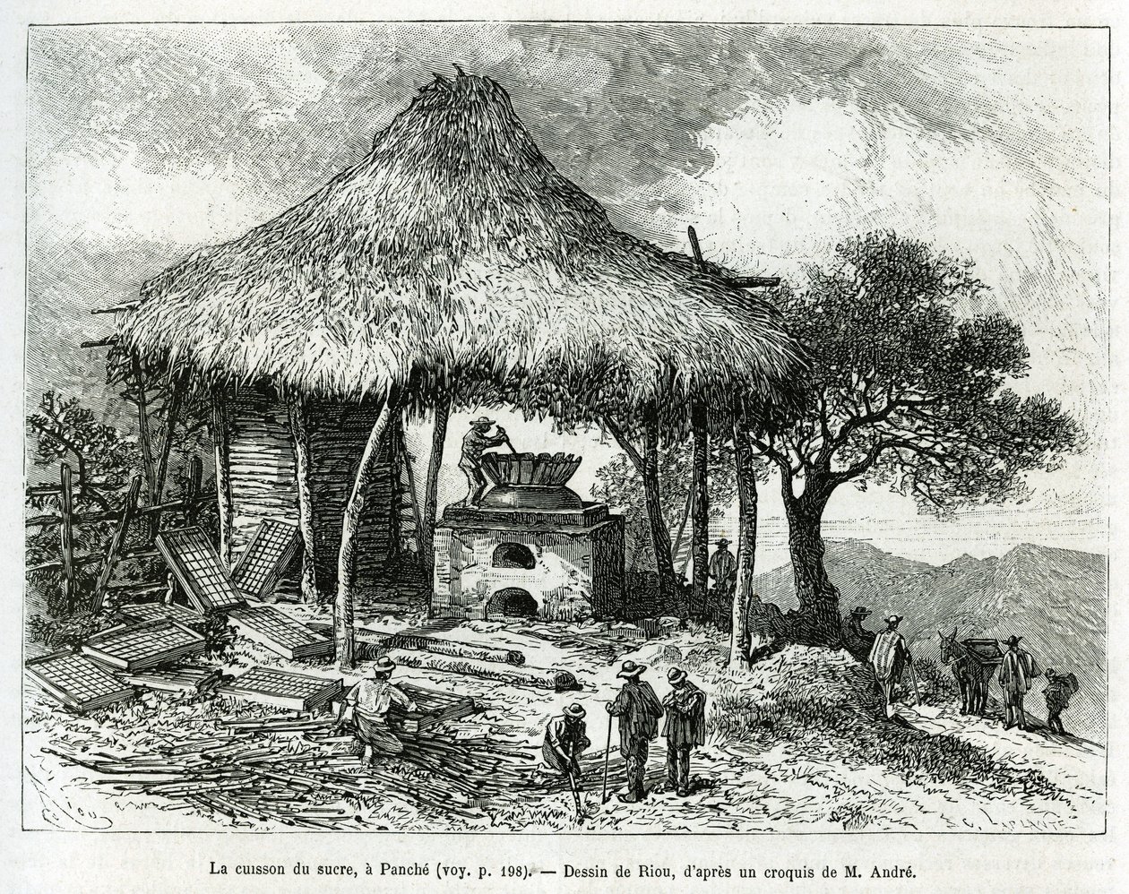 Le four à sucre, à Panche (Colombie). Gravure pour illustrer l