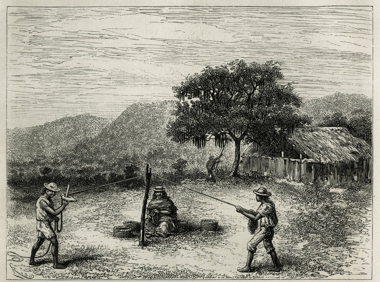 La fabrication de la cabuya, ficelle de Fourcroya, près de Cartago (Colombie), gravure de Riou, pour illustrer l