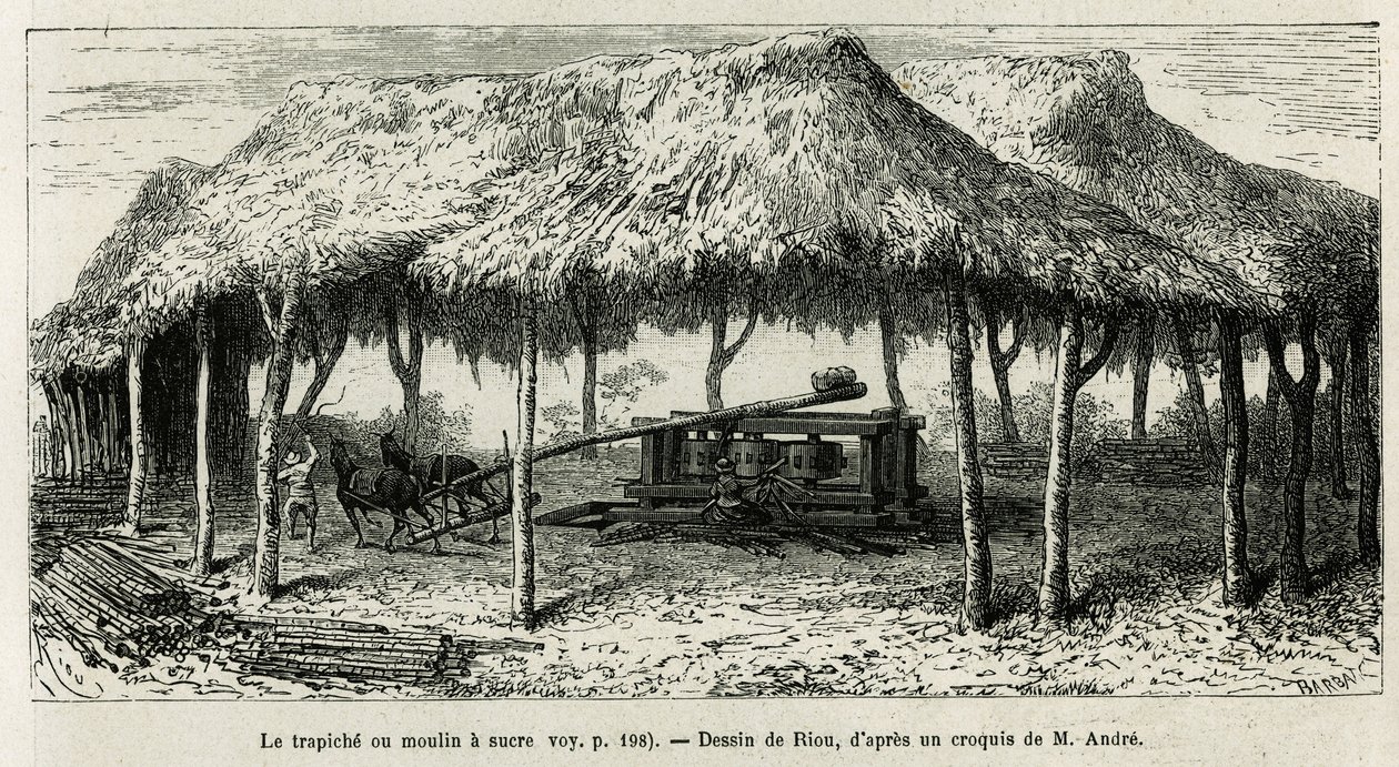 Le trapiche, ou moulin à sucre pour broyer les cannes à Panche (Colombie), dessin de Riou, pour illustrer l