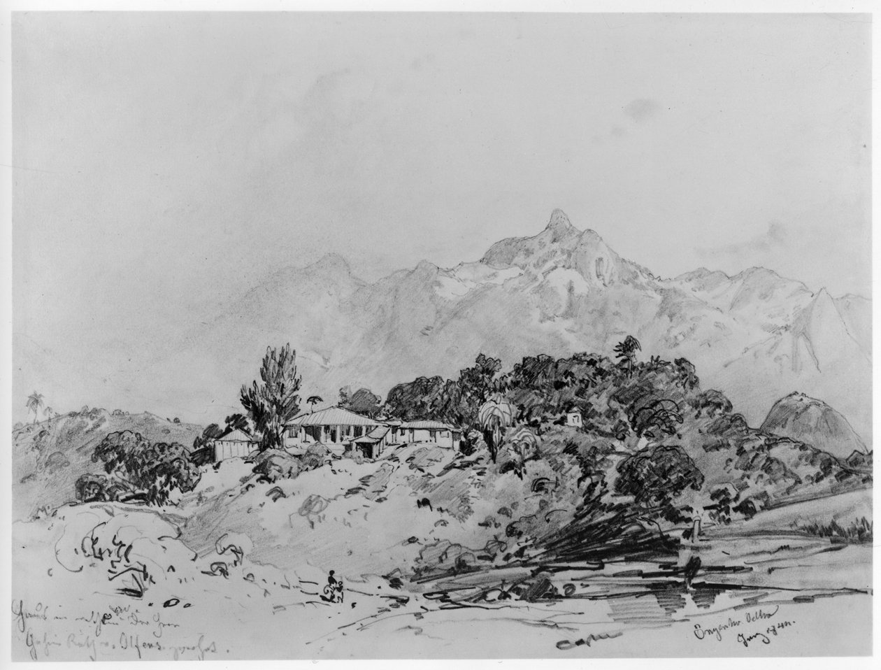 Vue d