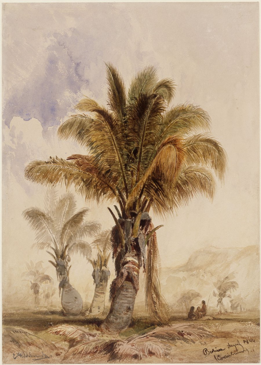 Palmiers cocotiers à Bahia - Eduard Hildebrandt