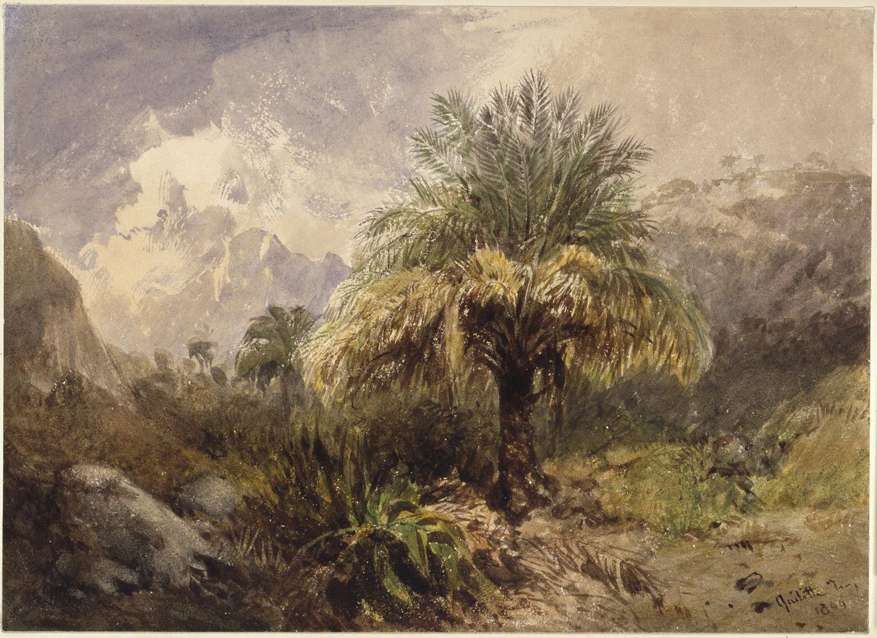 Des palmiers à la montagne - Eduard Hildebrandt