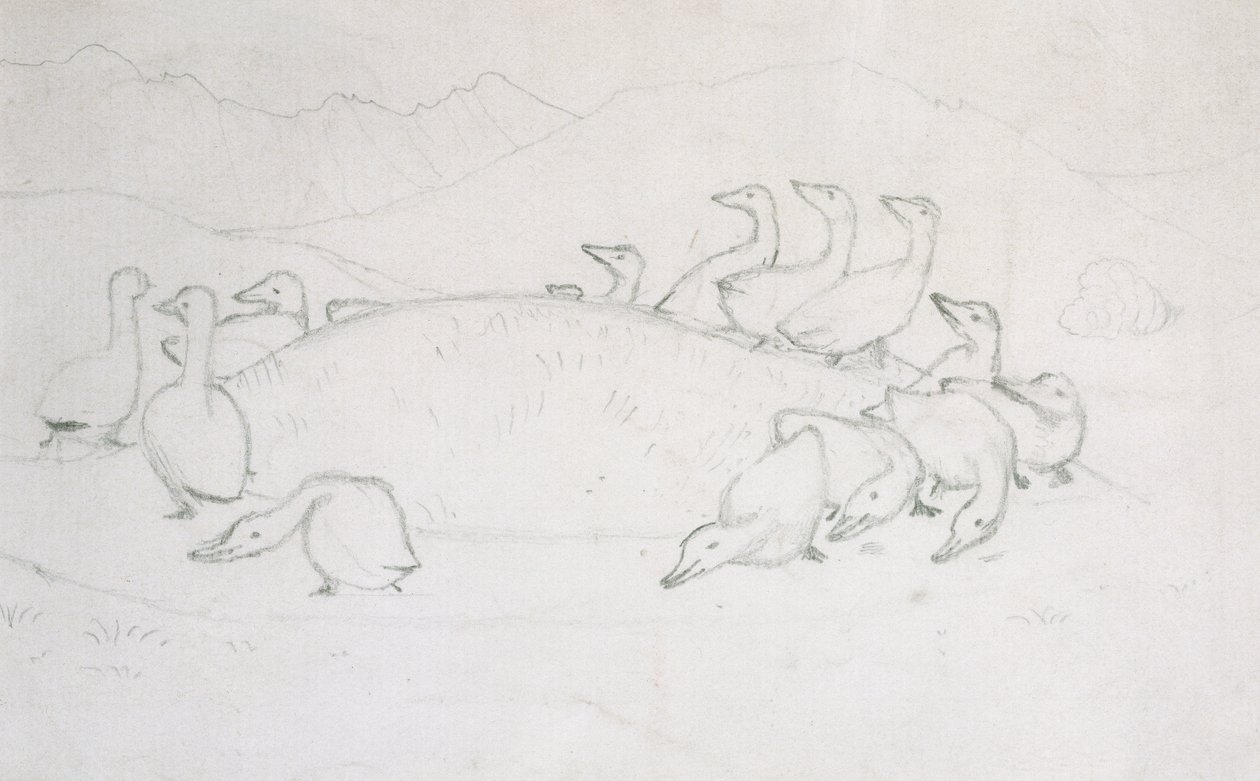Canards - Edward Burne Jones