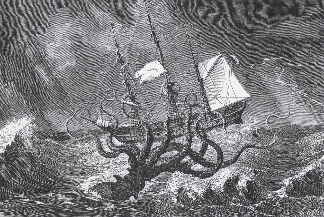 Le Kraken, vu par l