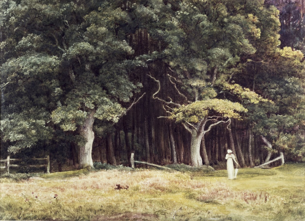 Le paysage boisé - Edward John Poynter