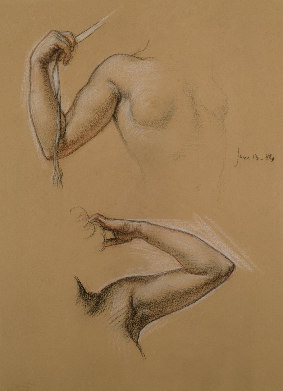 Deux études des épaules et des bras levés d
