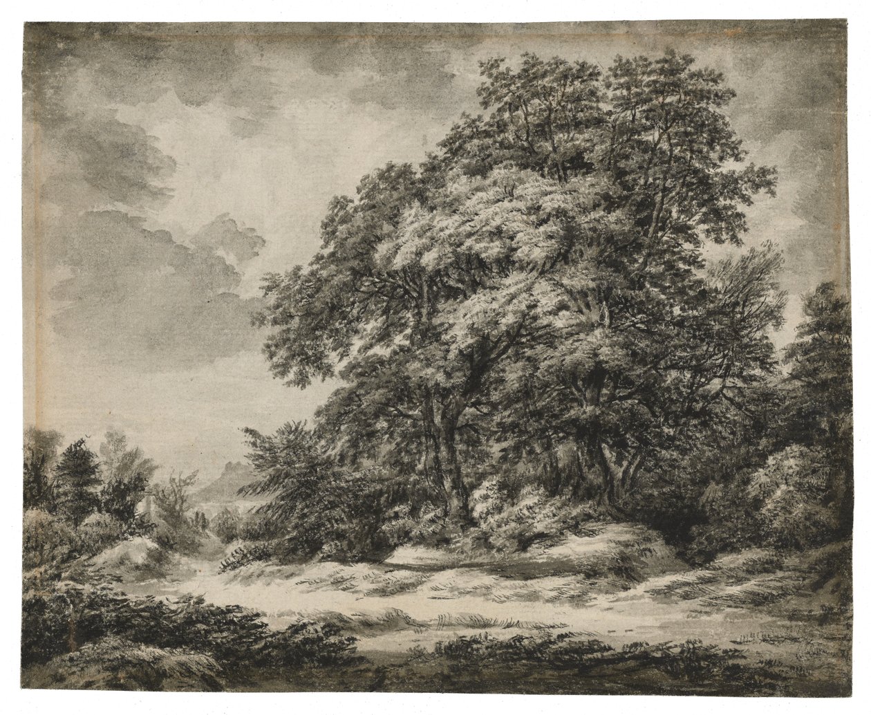 Paysage forestier (recto), c. 1838-1848 - Edward Lear