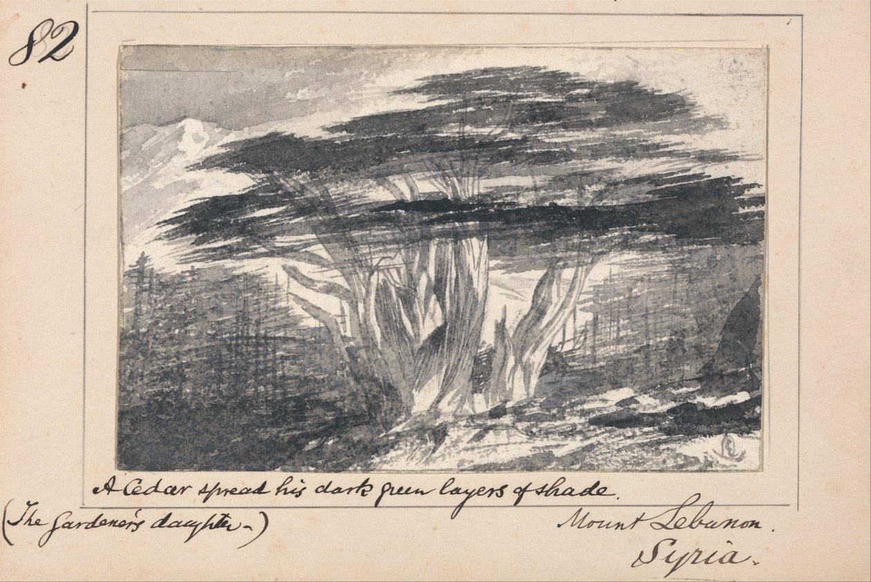 Illustration de La Fille du Jardinier de Tennyson - Mont Liban, Syrie - Edward Lear