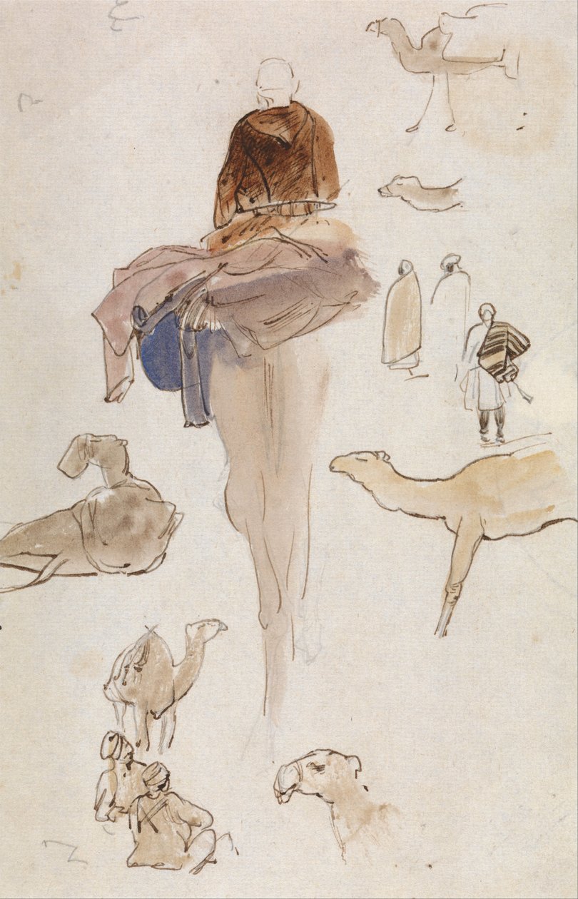 Études de chameaux - Edward Lear