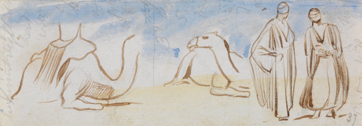 Études de chameaux et d