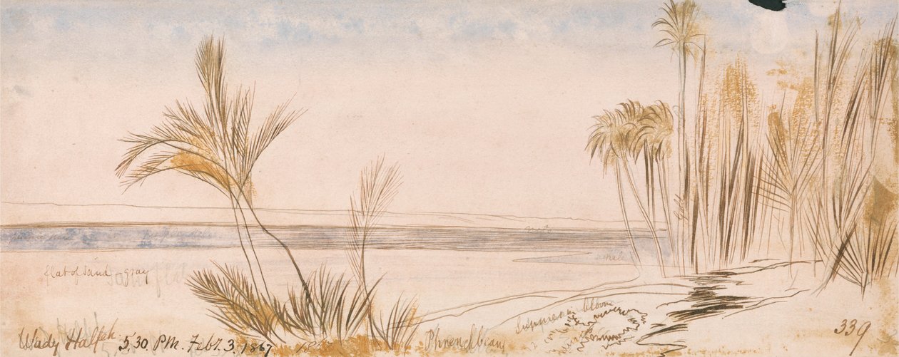 Wady Halfeh - Edward Lear
