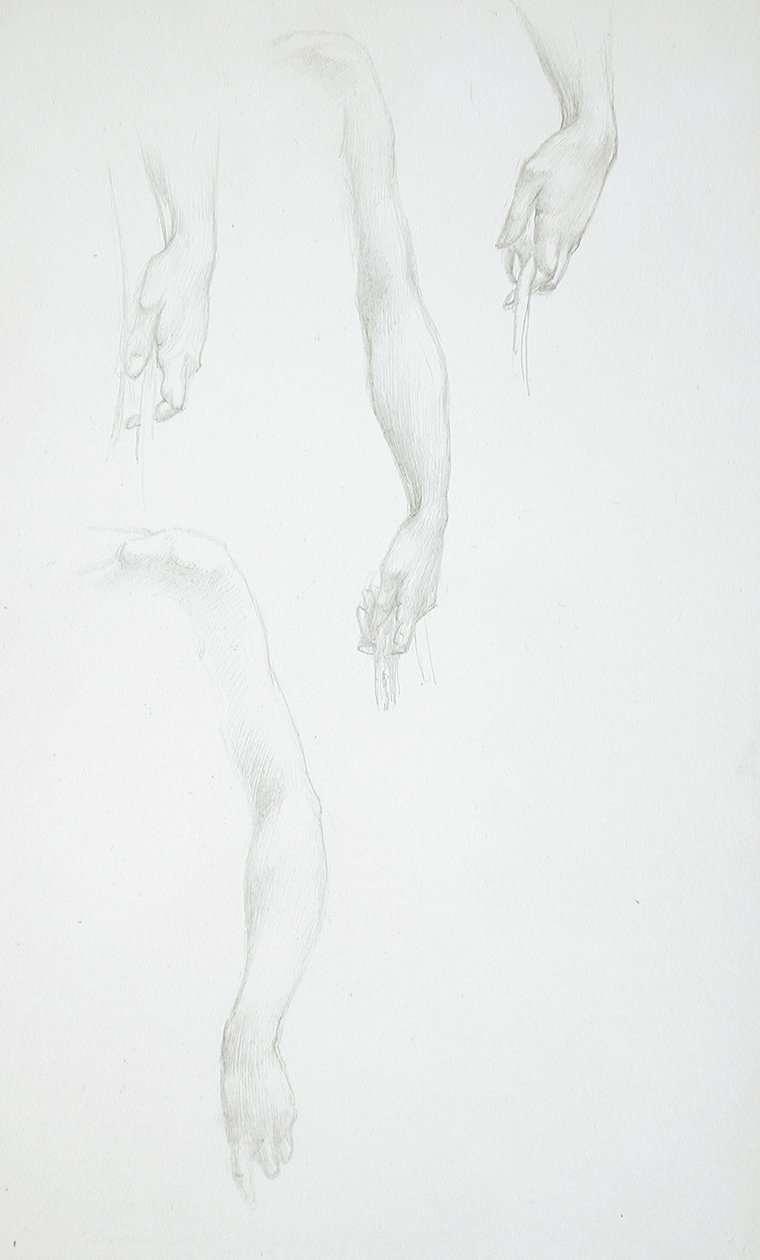 Études de bras et de mains (recto) ; Étude de torse féminin (verso) - Edward Burne-Jones