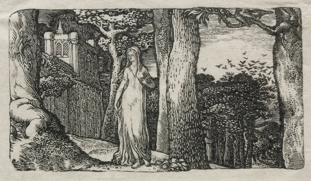 La Dame et les Corbeaux - Edward Calvert