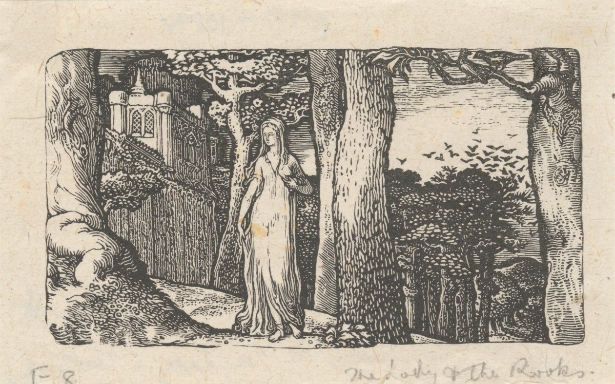 La Dame et les freux - Edward Calvert