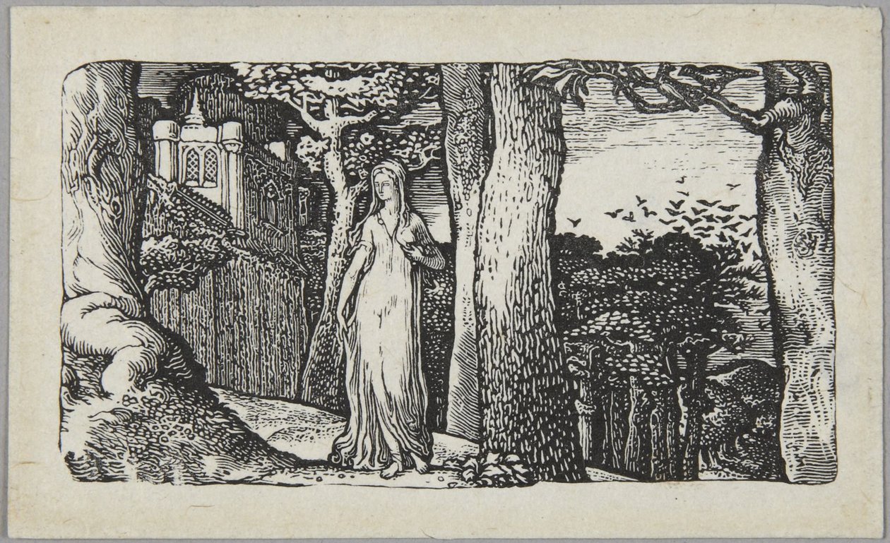 La dame aux corneilles - Edward Calvert