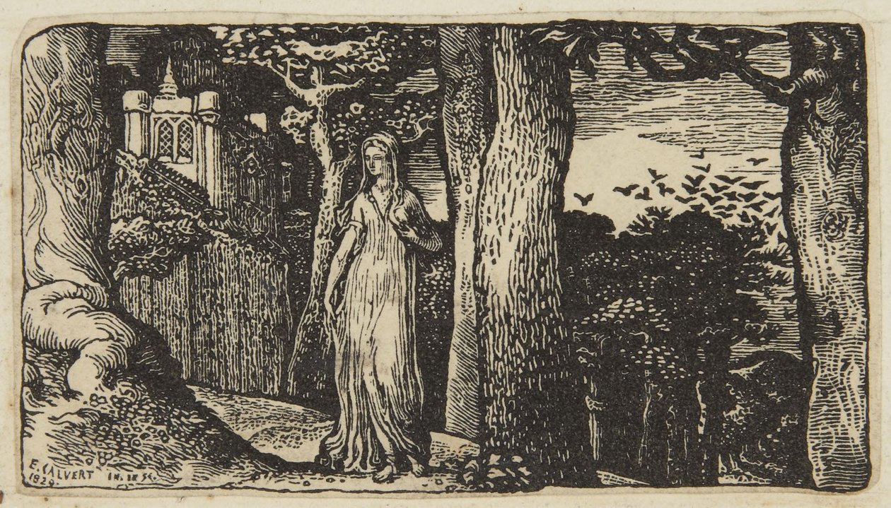La dame aux corbeaux freux - Edward Calvert