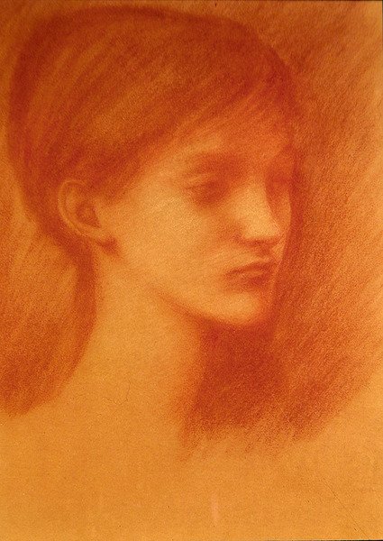 Tête rousse / Portrait d