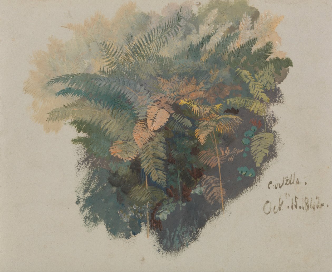 Une étude sur les fougères, Civitella - Edward Lear