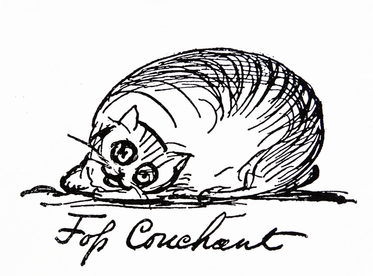 Un personnage de chat (dessin) - Edward Lear