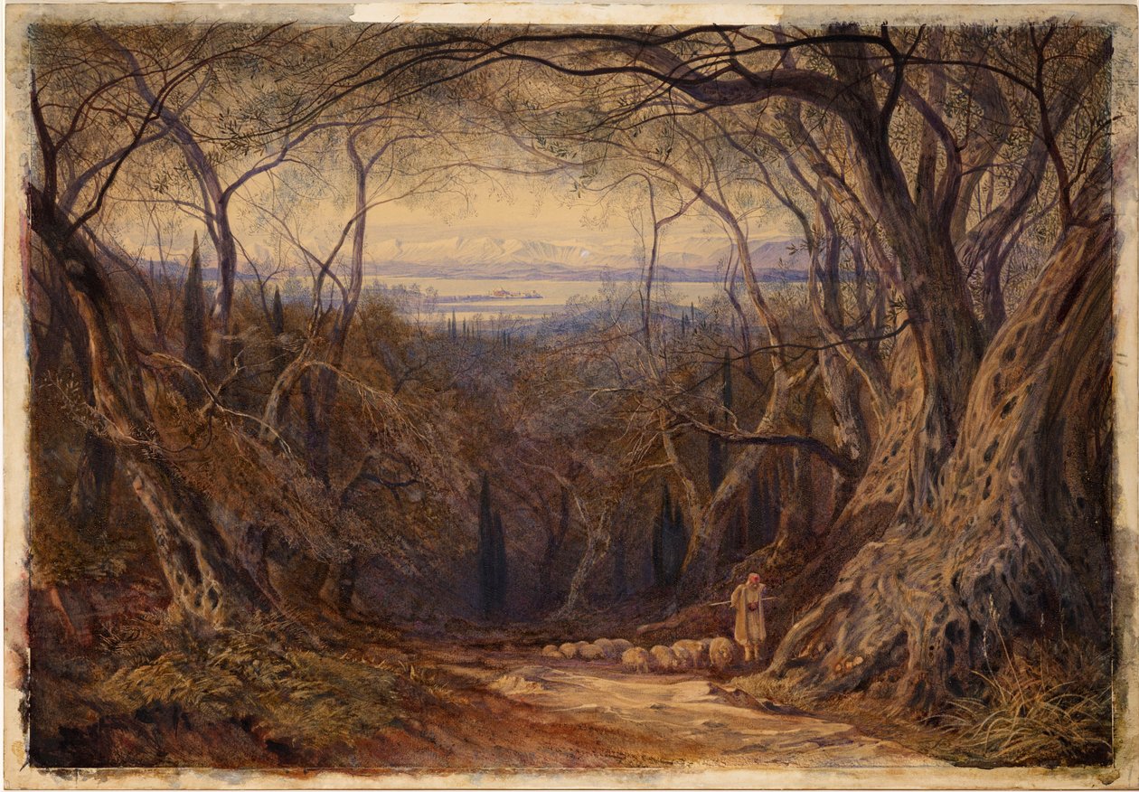 Corfou - Edward Lear