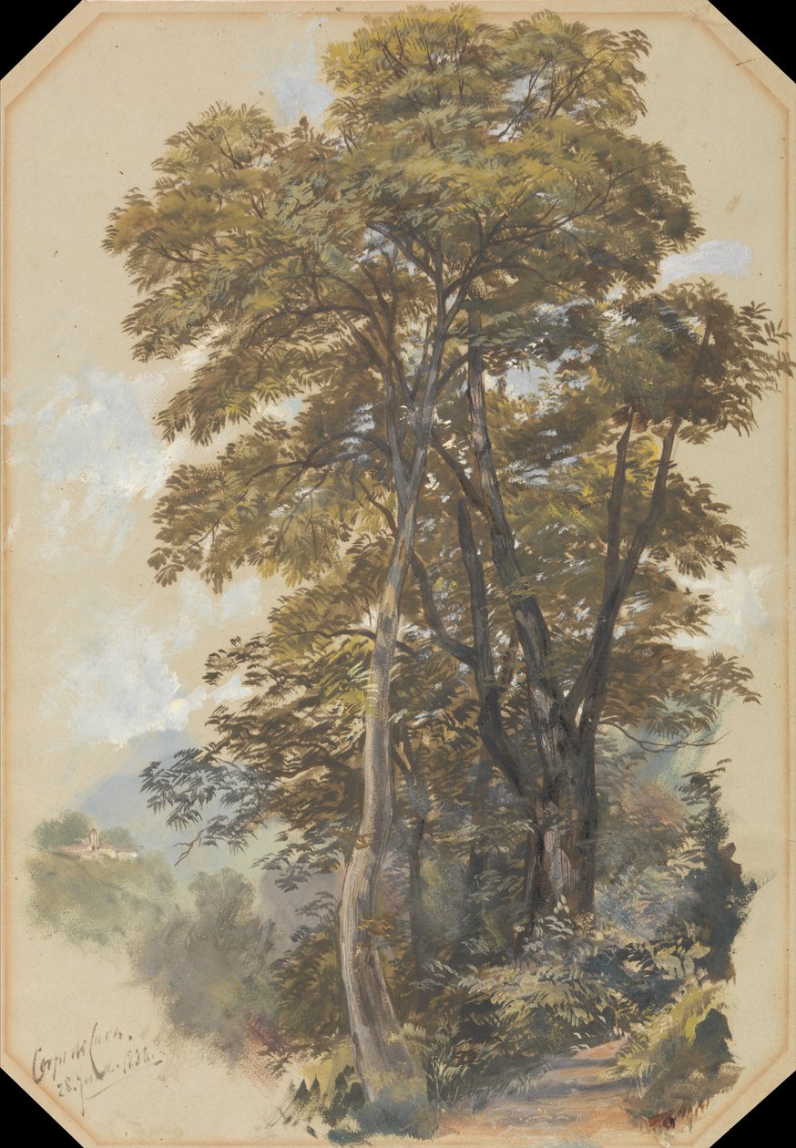 Corps des carrières, 28 juin 1838 - Edward Lear