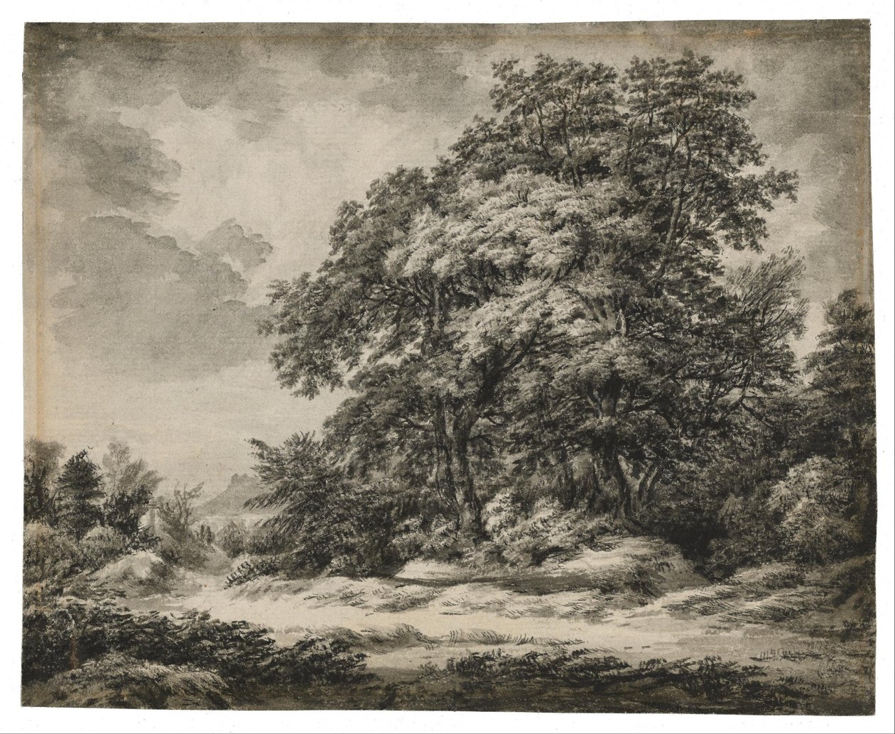 Paysage forestier - Edward Lear