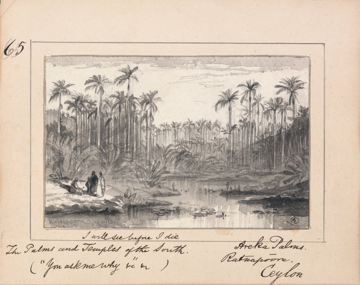 Illustration de "You Ask Me Why" de Tennyson : Areka Palms, Ratanapooru, Ceylan - "Je verrai avant de mourir les palmiers et les temples du Sud". - Edward Lear