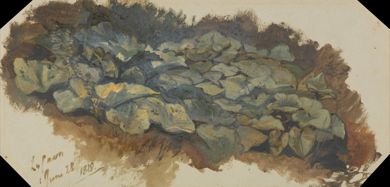 La carrière - Edward Lear