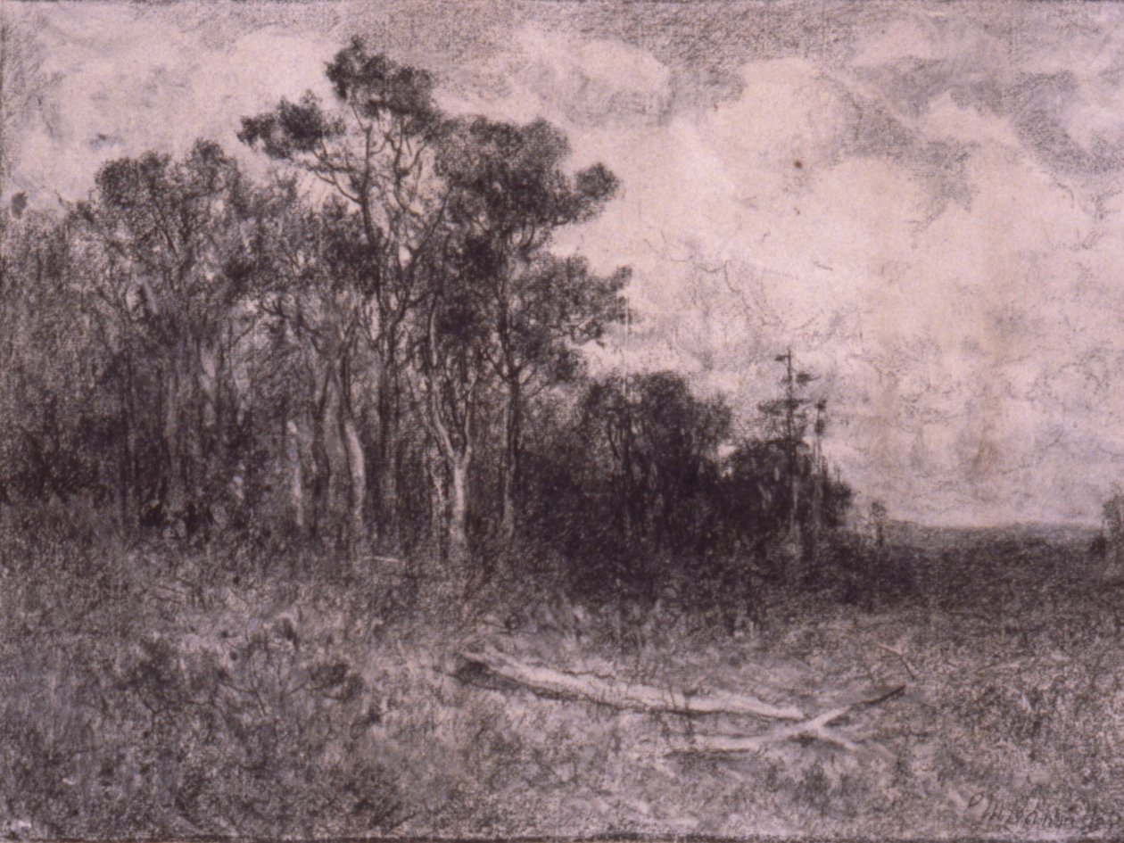 Paysage, scène de forêt - Edward Mitchell Bannister