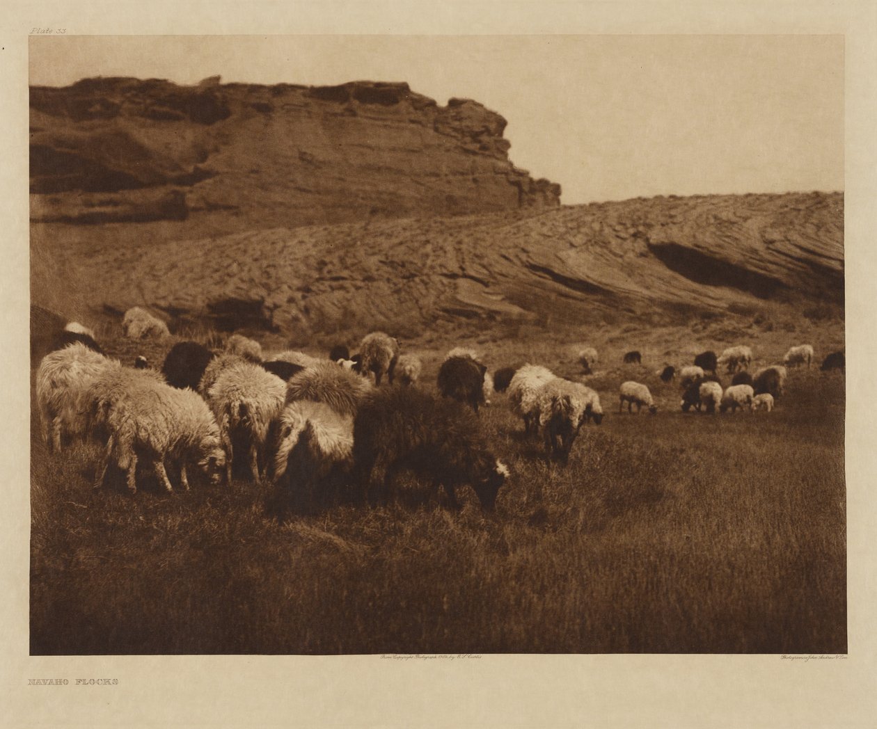 [Troupeaux navajos] - Edward S. Curtis