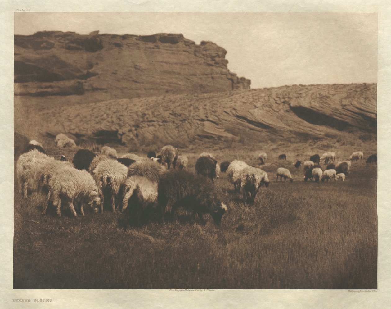 Portfolio I, planche 33 : Troupeaux Navaho - Edward S. Curtis