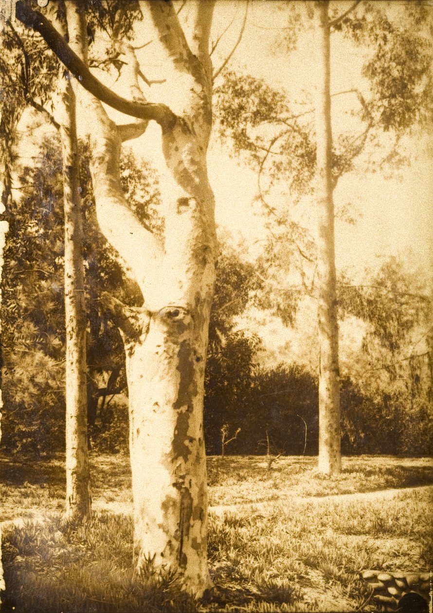 Auf dem Bauernhof, Seattle, Washington - Edward Sheriff Curtis