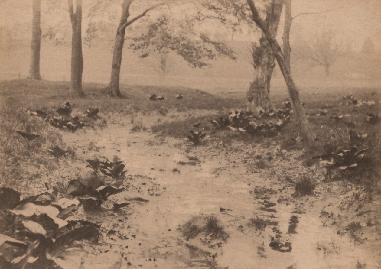 Paysage de printemps, années 1890 (photo) - Edward Willis Redfield
